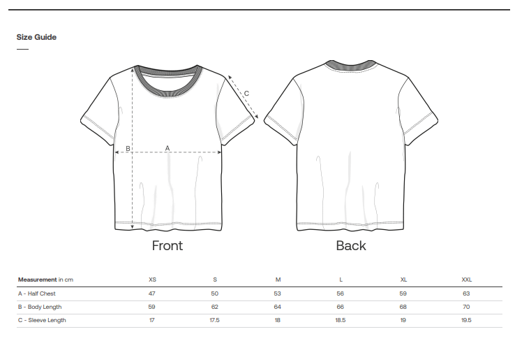 Organic Cotton Women's Scoop Neck T-Shirt image 5