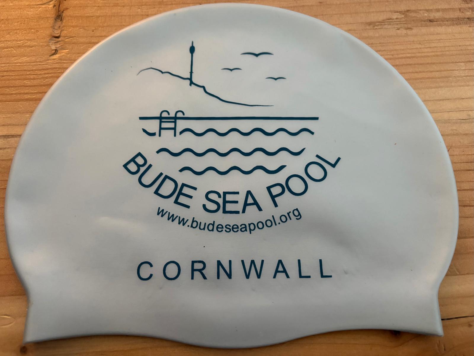 Swim Hat - Silver, Short Hair image