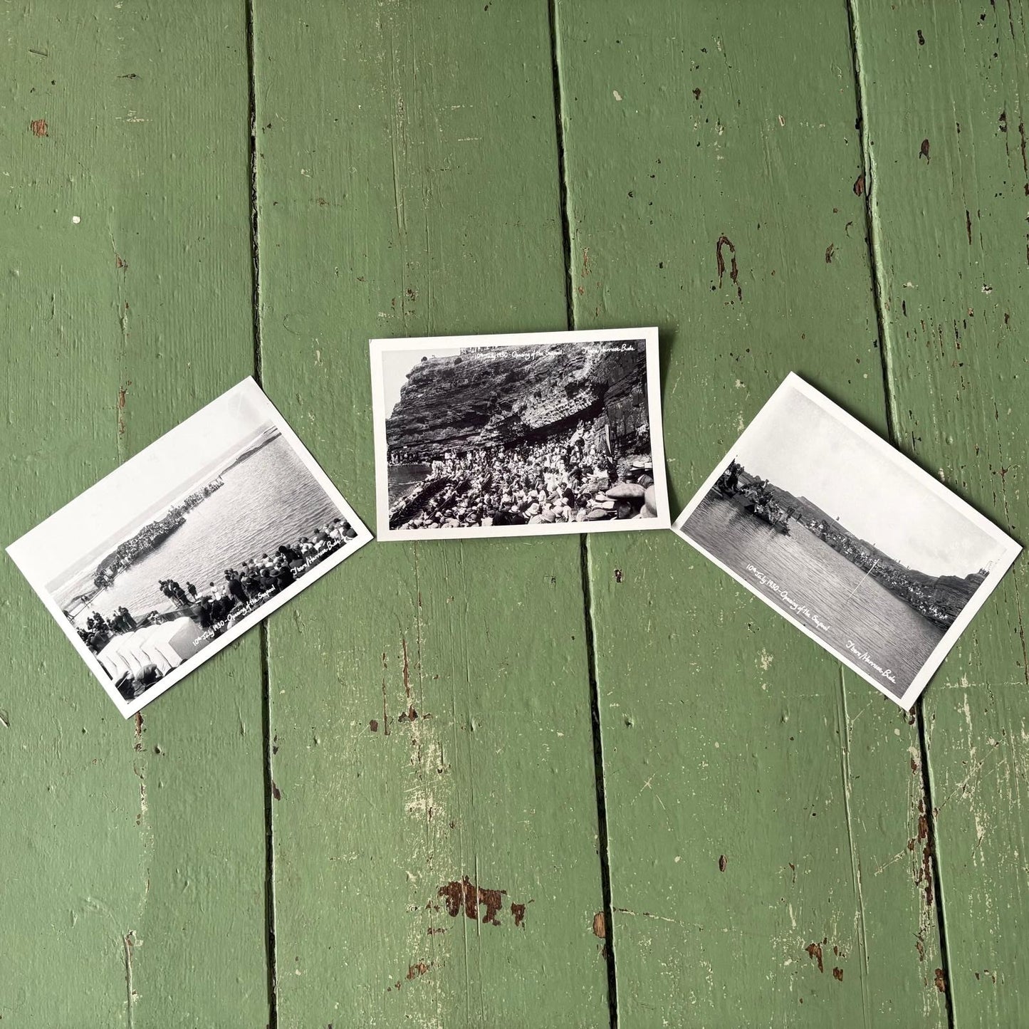 David Thorn Black and White Postcard