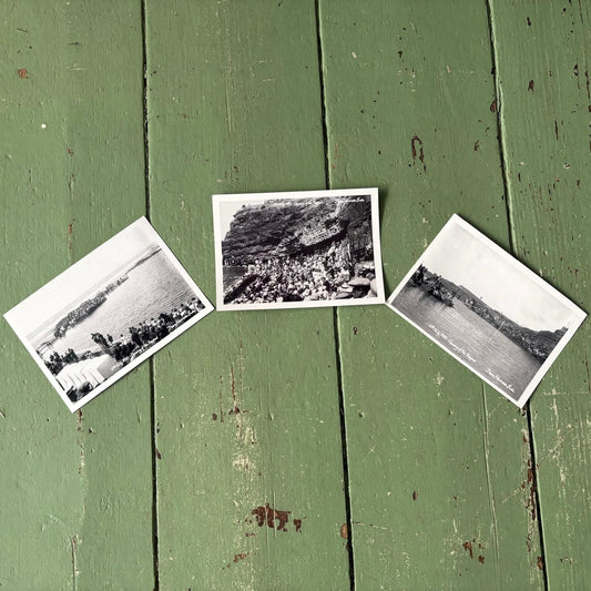 David Thorn Black and White Postcard