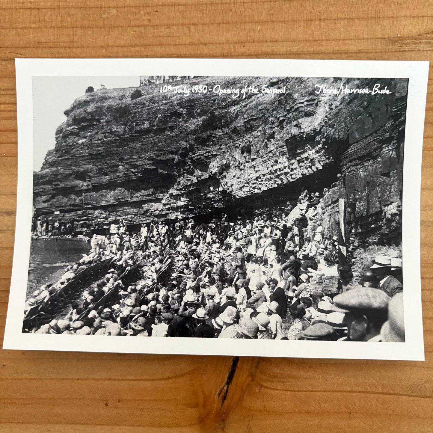 David Thorn Black and White Postcard