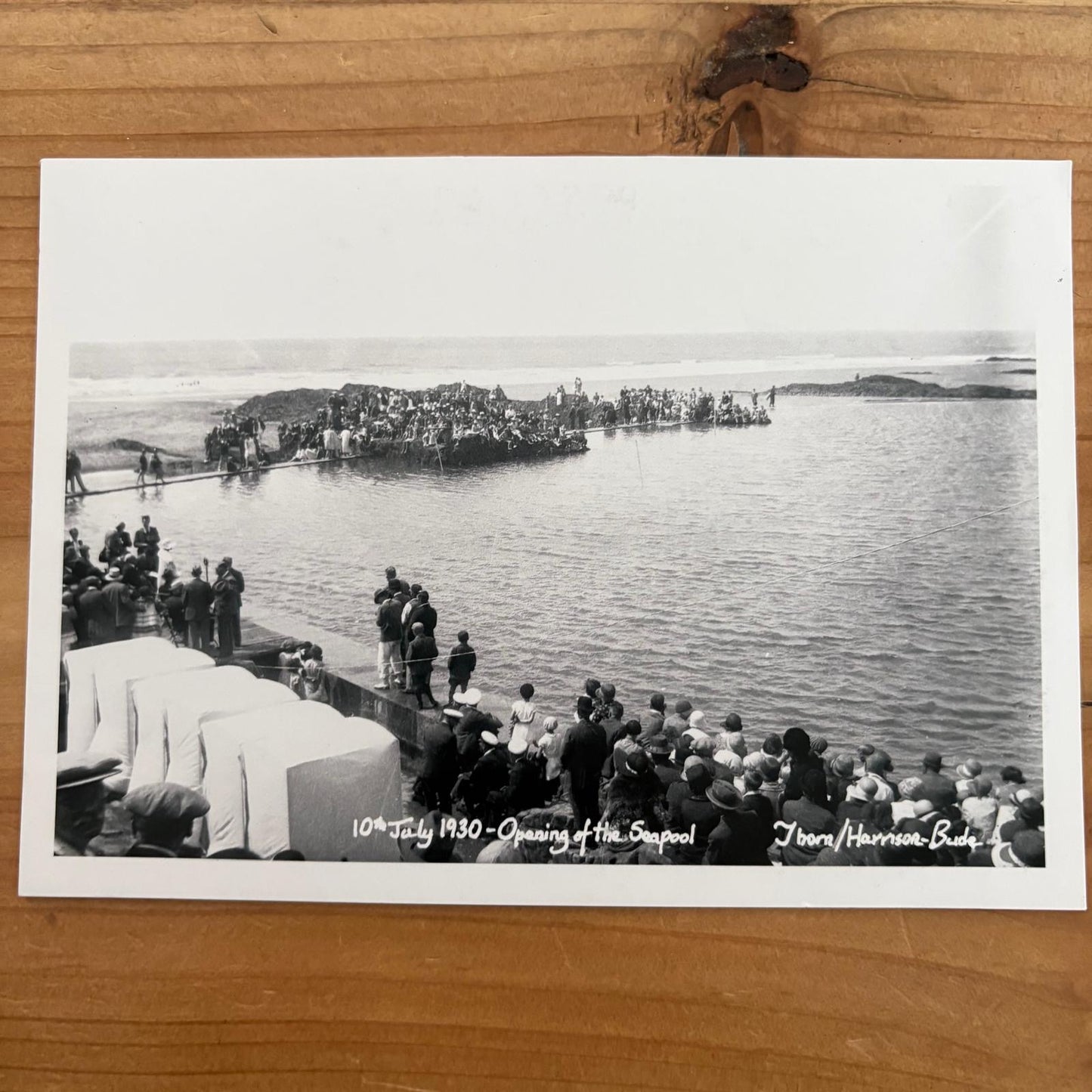 David Thorn Black and White Postcard